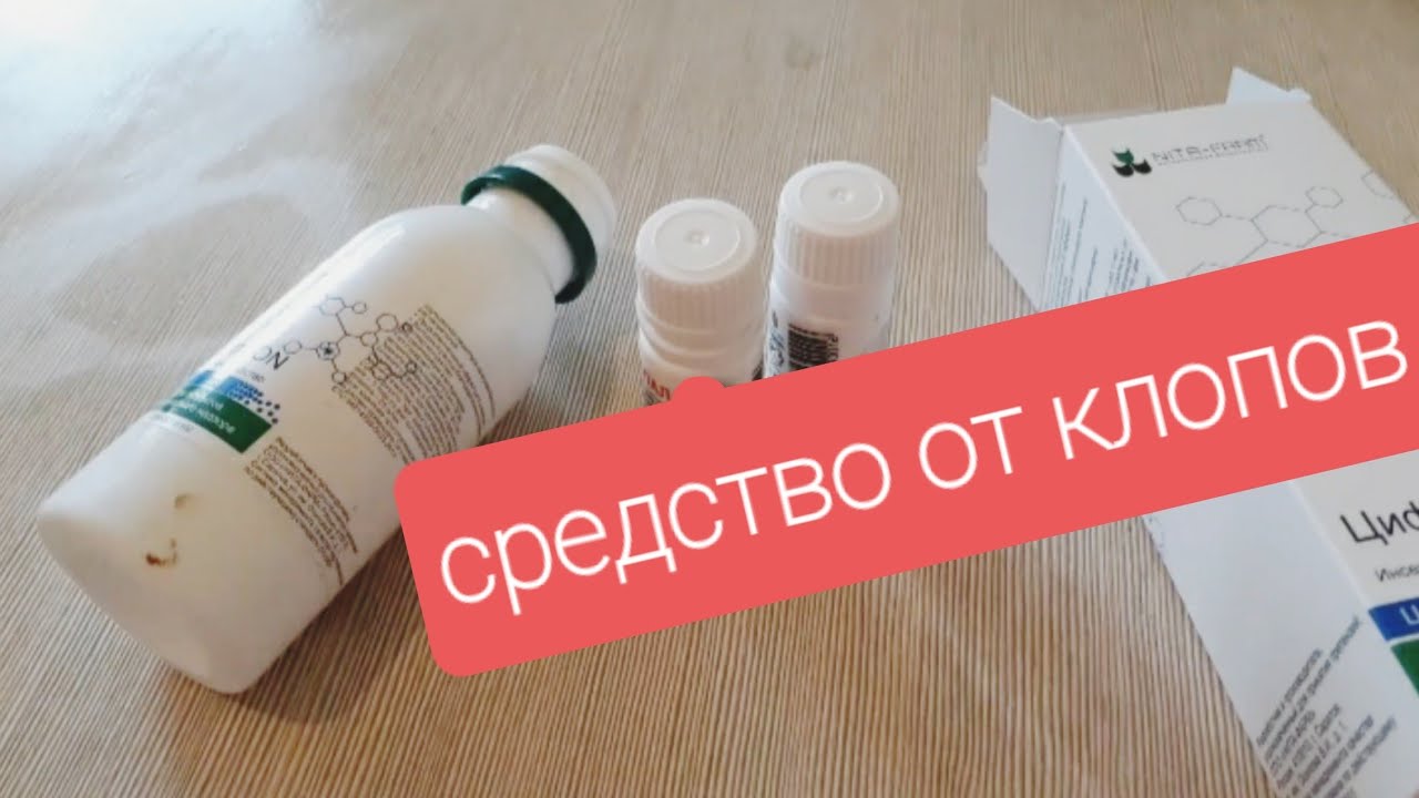 Лучшие средства от клопов в квартире - где их купить?